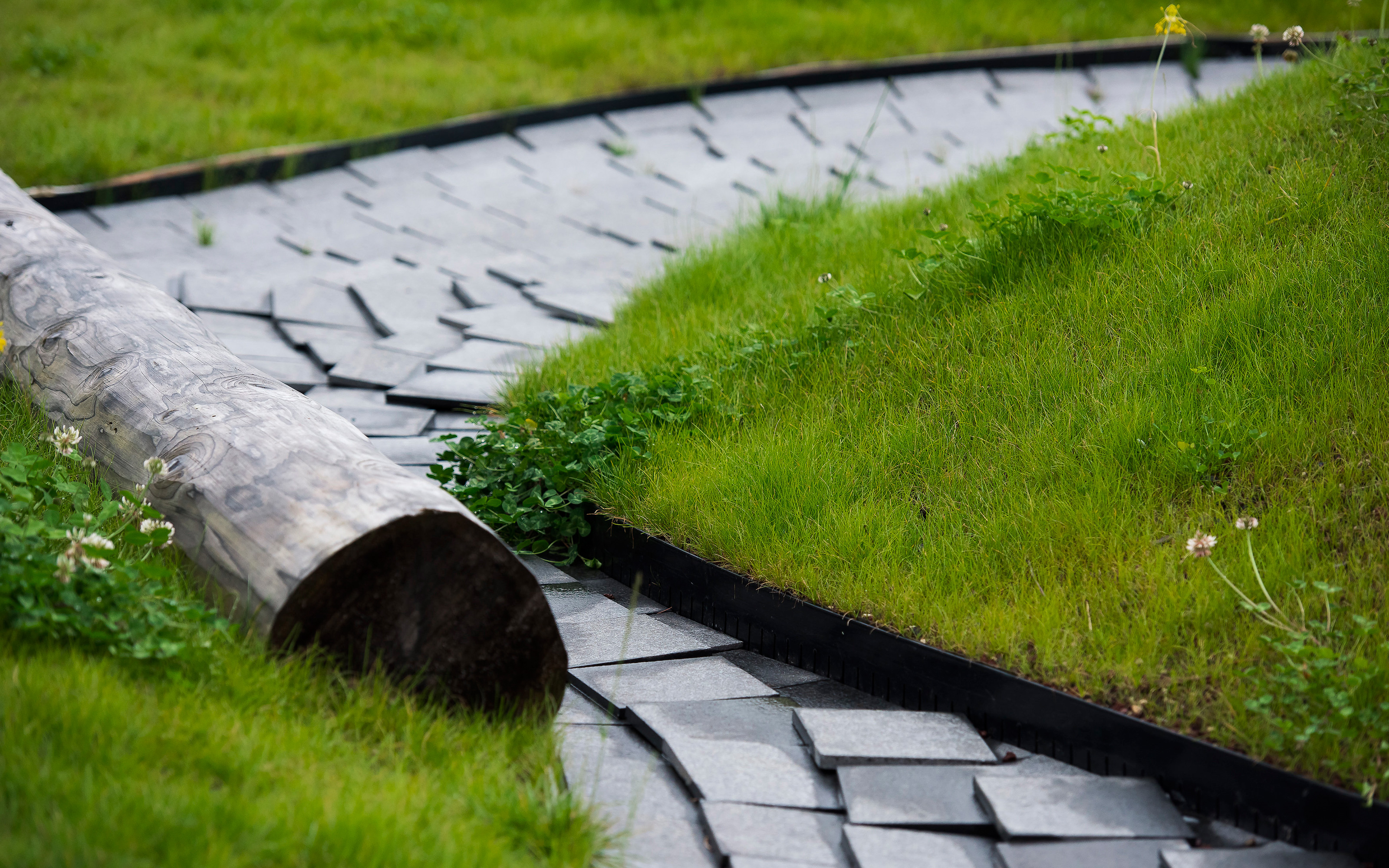 Tree trunks serve as design elements. Lawn with tree trunk and walkway